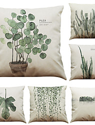 Cushions Trends
