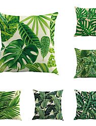 Cushions Trends