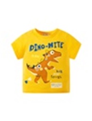 Boy's Dinosaur T-Shirts